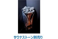 コンテナ サウナ 新品